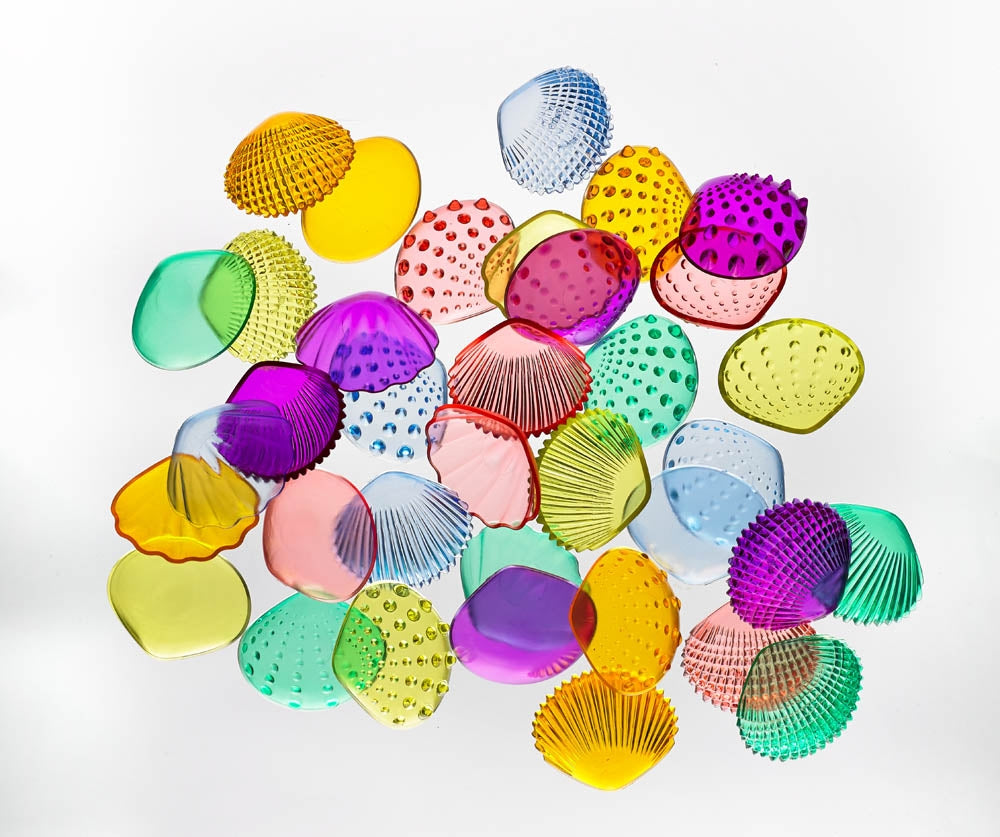 Edx Education Transparent Tactile Shells