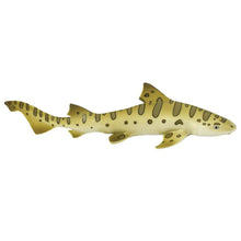 Safari Leopard Shark