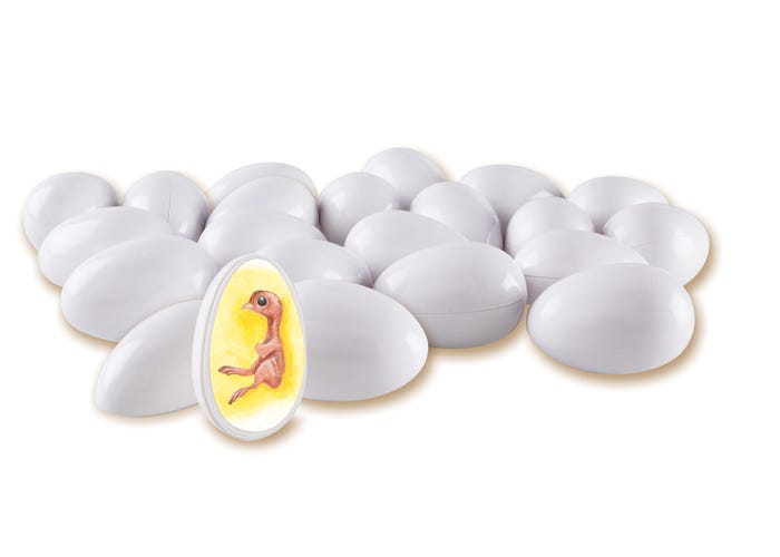Learning Resources Chick Life Cycle Exploration Set