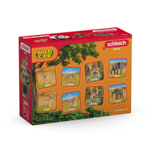 Schleich Wild Life "Asia" Starter Set
