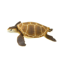 Safari Green Sea Turtle (brown)