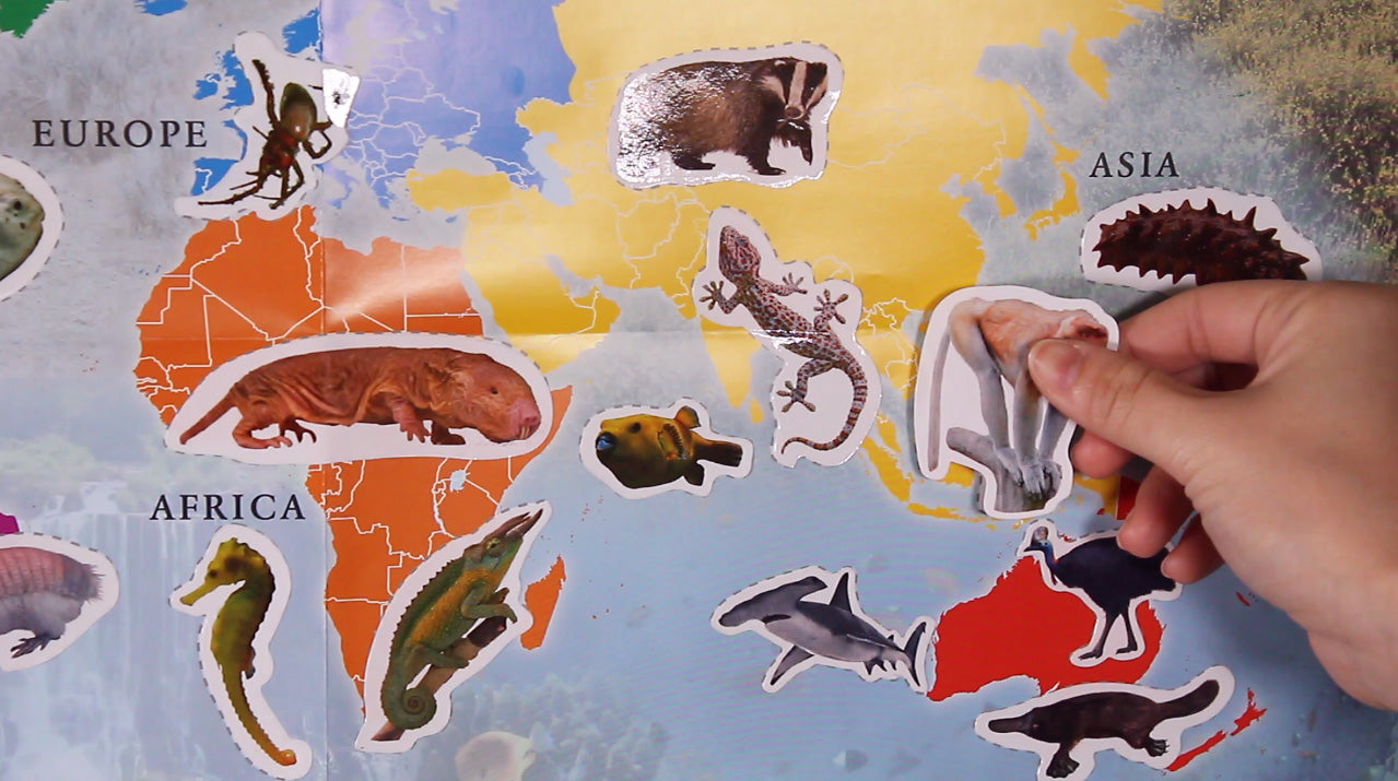 Wild Environmental Science Worlds Most Freaky Animals