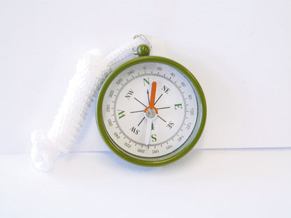 Shaw Magnets Standard Compass