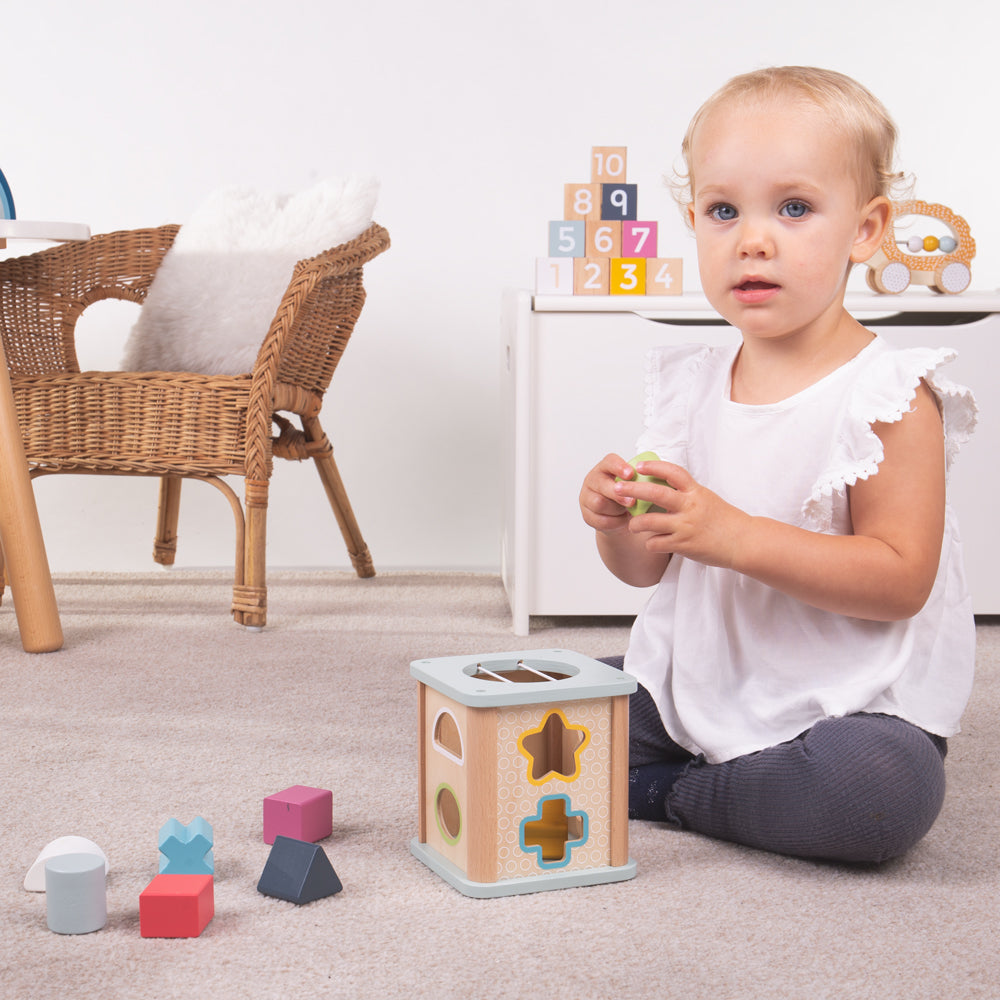 BigJigs Shape Sorter - FSC 100%