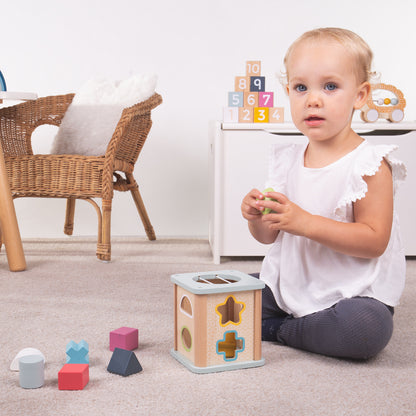BigJigs Shape Sorter - FSC 100%