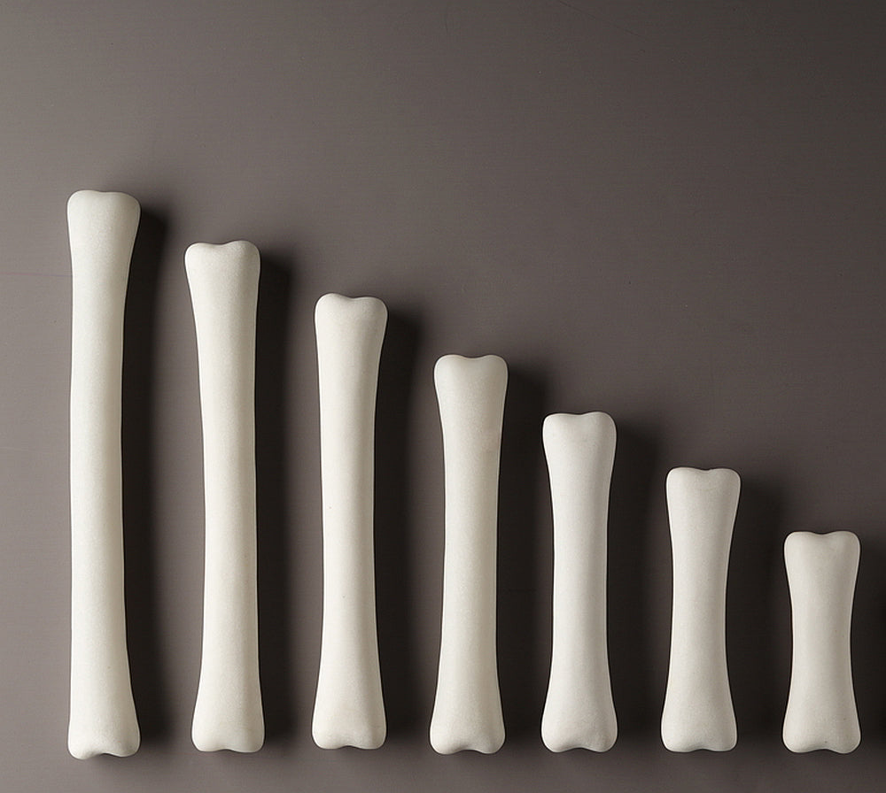 Yellow Door Dinosaur Bones Match and Measure Set