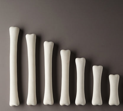 Yellow Door Dinosaur Bones Match and Measure Set