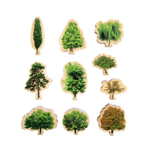The Freckled Frog Seasons Trees