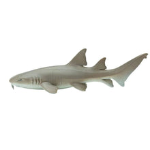 Safari Nurse Shark