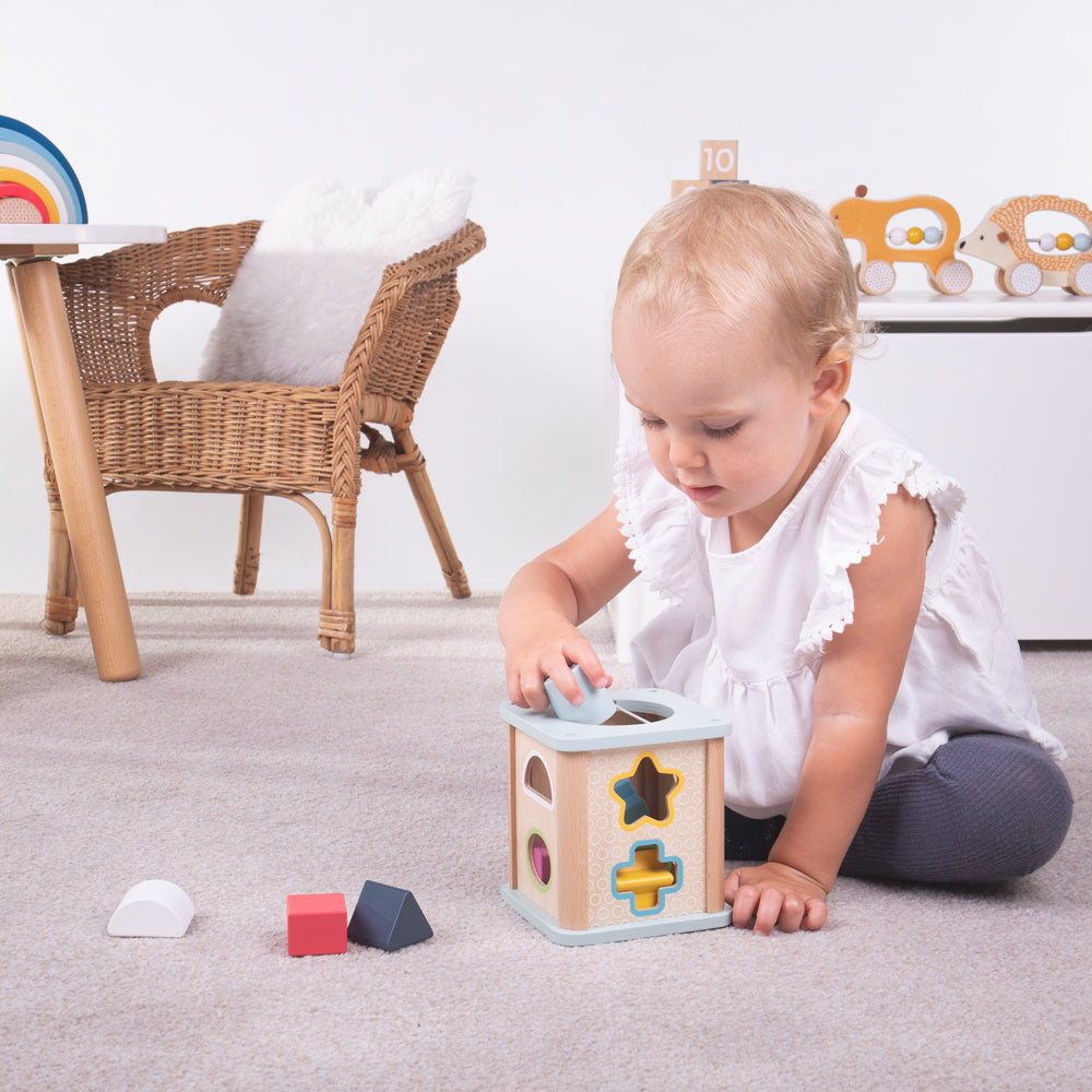 BigJigs Shape Sorter - FSC 100%