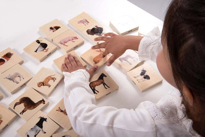 TickiT Domestic Animal Family Match