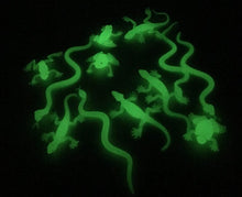 Playlearn Glow In Dark Reptiles Set