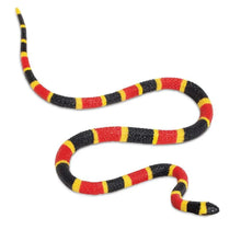 Safari Coral Snake Baby