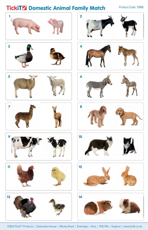 TickiT Domestic Animal Family Match