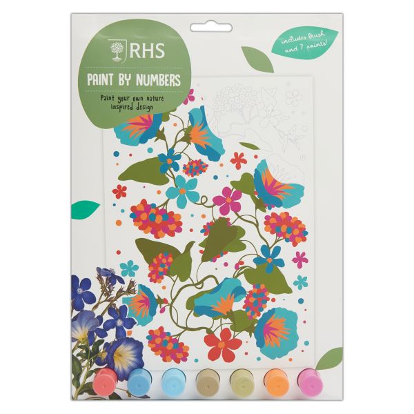 RHS Paint By Numbers - Blooms