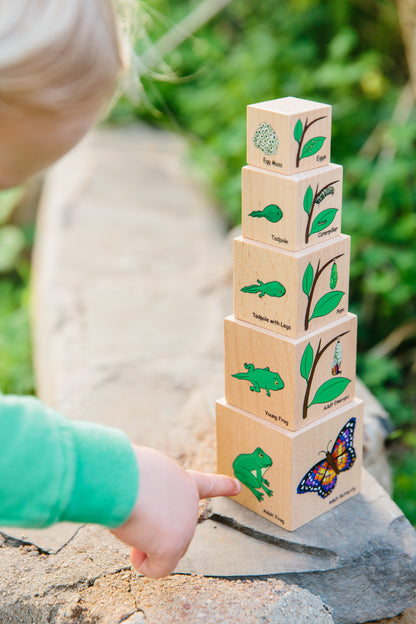 The Freckled Frog Life Cycle Wooden Blocks