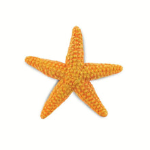 Safari Starfish