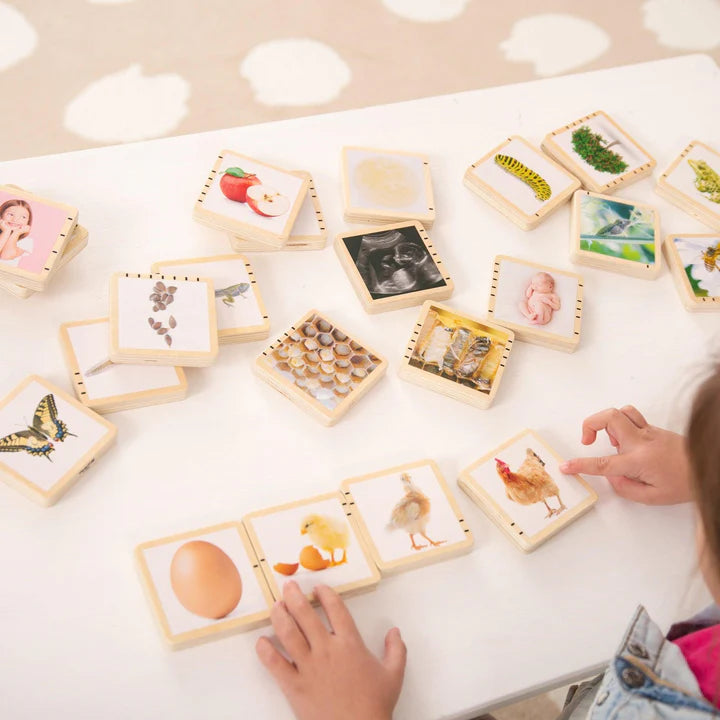 TickiT Wooden Lifecycle Tiles