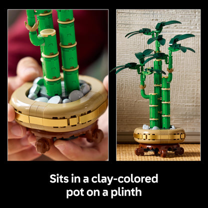 Lego Botanicals 10344 Lucky Bamboo