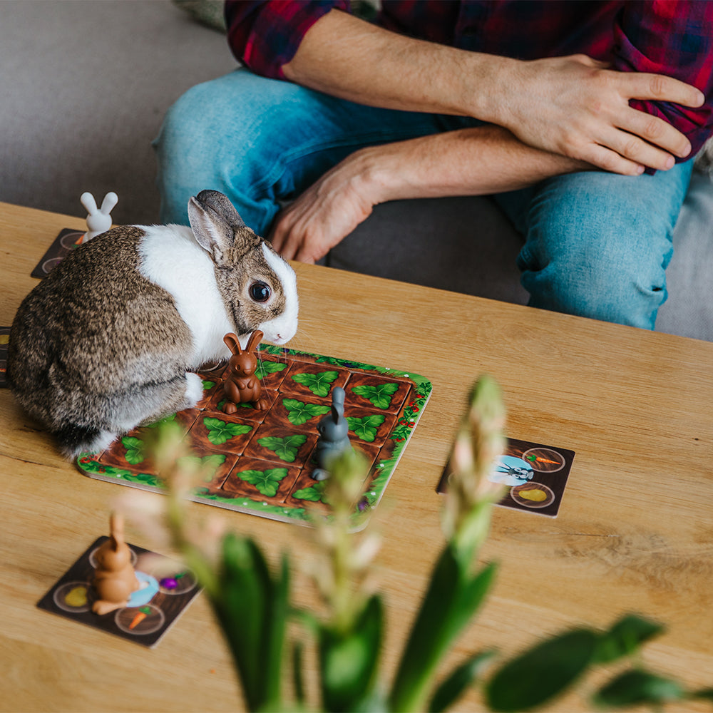 Smart Games Grabbit