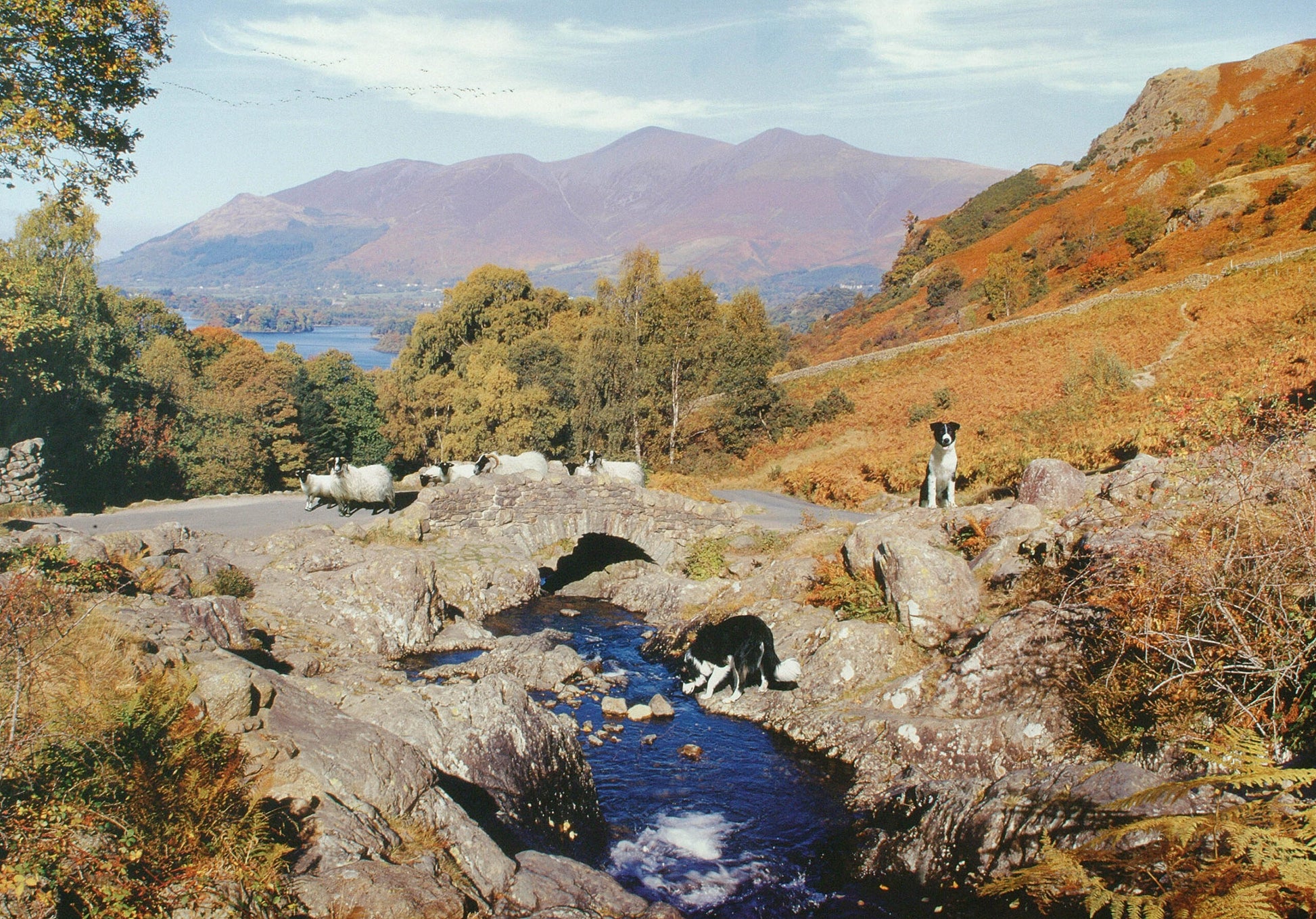 The House of Puzzles - Thirsty Work - 1000 piece Jigsaw