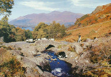 The House of Puzzles - Thirsty Work - 1000 piece Jigsaw