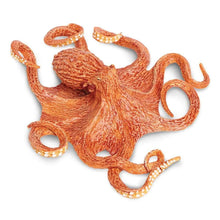 Safari Octopus-S267229