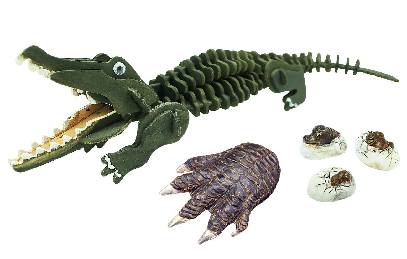 Wild Environmental Science Extreme Crocodiles of the World
