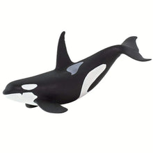 Safari Orca-S100232