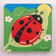 BigJigs Lifecycle Layer Puzzle - Ladybug