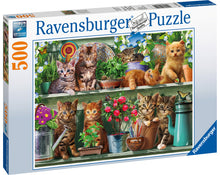 Ravensburger Cats on the Shelf, 500pc Jigsaw Puzzle