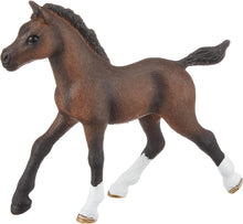 Schleich Arabian Foal
