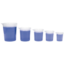 Graduated Beaker Set Of 5