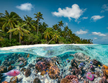 Ravensburger A Dive in the Maldives, 2000pc