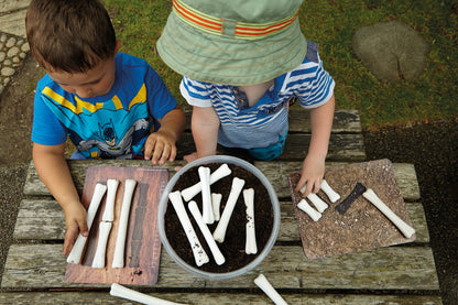 Yellow Door Dinosaur Bones Match and Measure Set