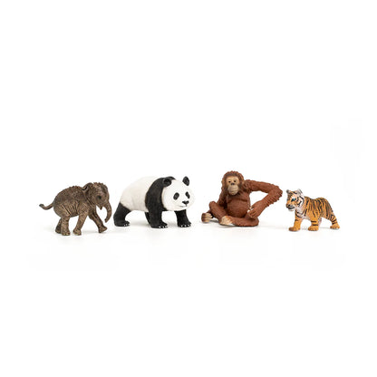 Schleich Wild Life "Asia" Starter Set