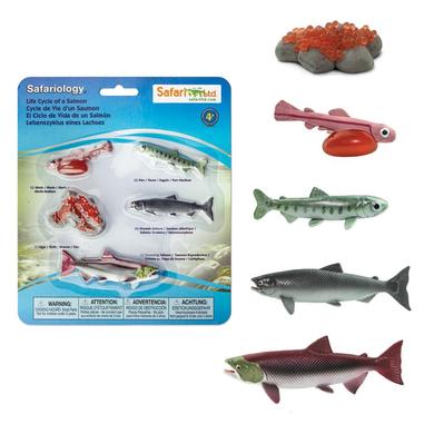 Safari Life Cycle of a Salmon (5 Pieces)