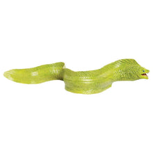 Safari Moray Eel