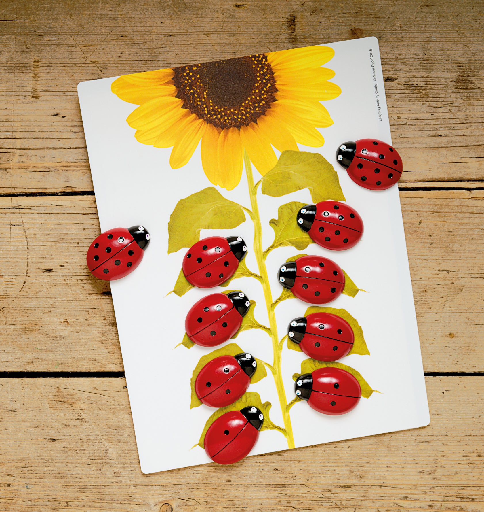 Yellow Door Ladybug Counting Cards
