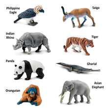 Safari Toob Asian Animals Novelty (8 Pieces)