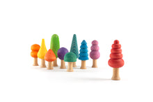 Ocamora Rainbow Forest