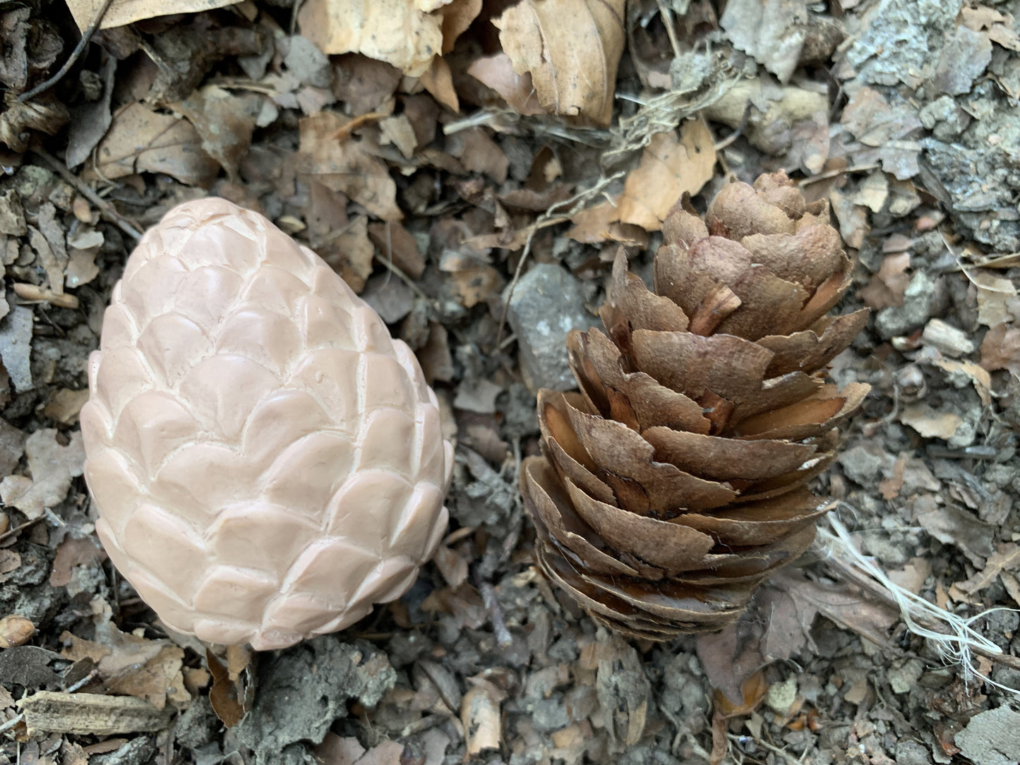 Yellow Door Feast of Nature – Sensory Play Set