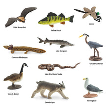 Safari Toob Great Lakes (10 Pieces)
