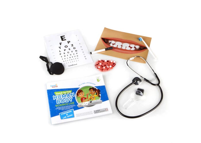Learning Resources hand2mind Head-To-Toe Human Body Science Lab