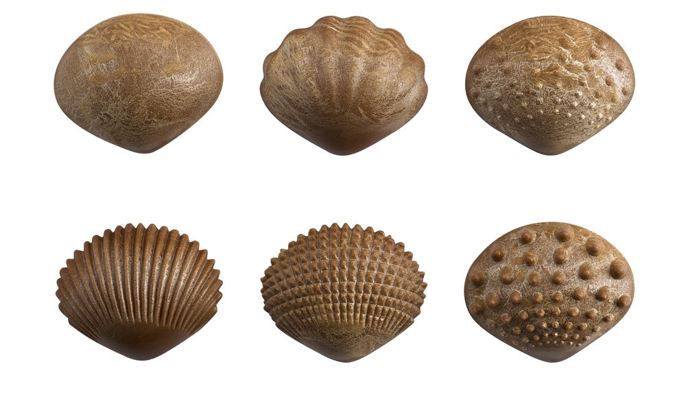 Edx Education Eco Friendly Tactile Shells