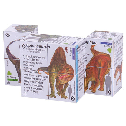 ZooBooKoo Dinosaurs - T-Rex & Friends Cube Book