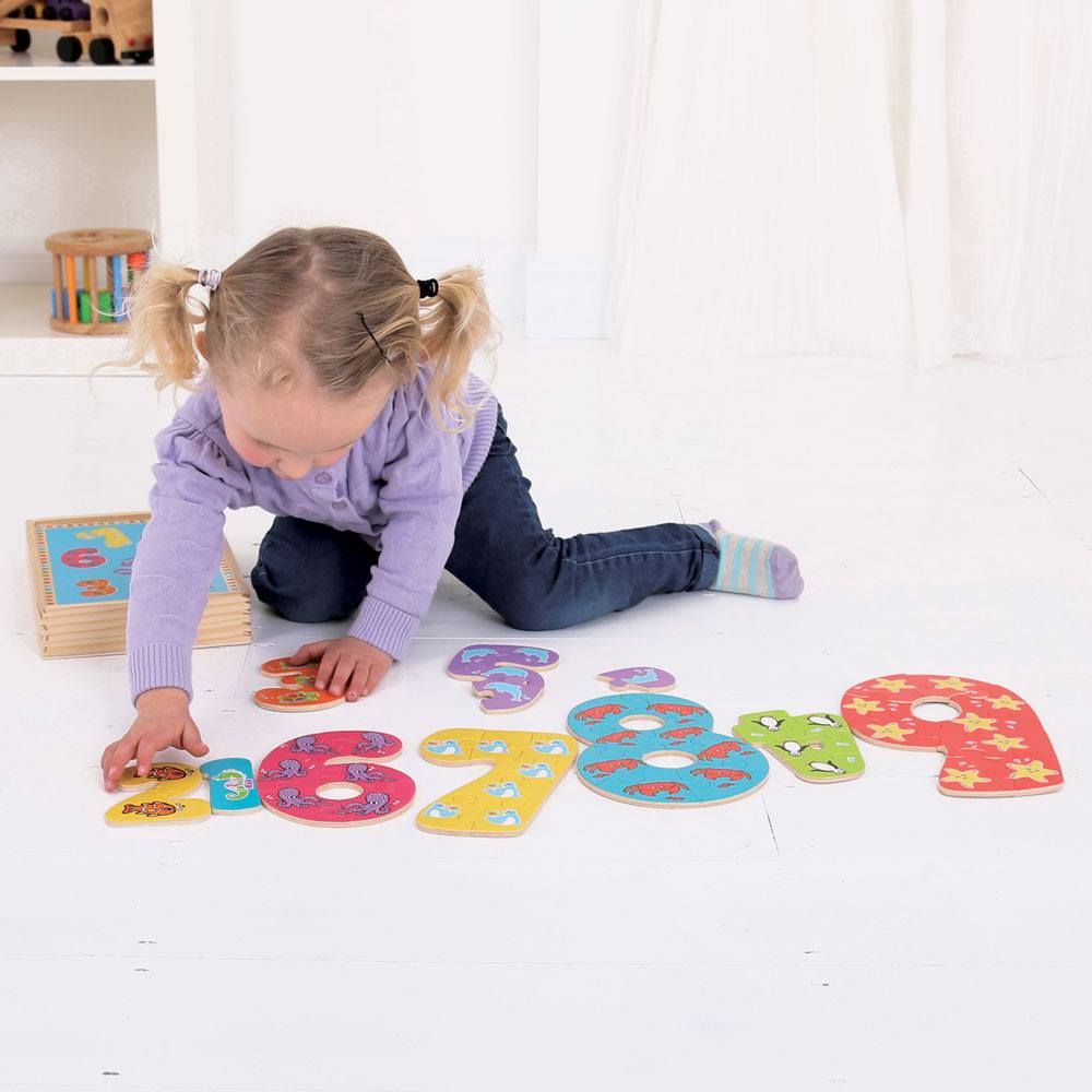 BigJigs 1-9 Number Puzzles