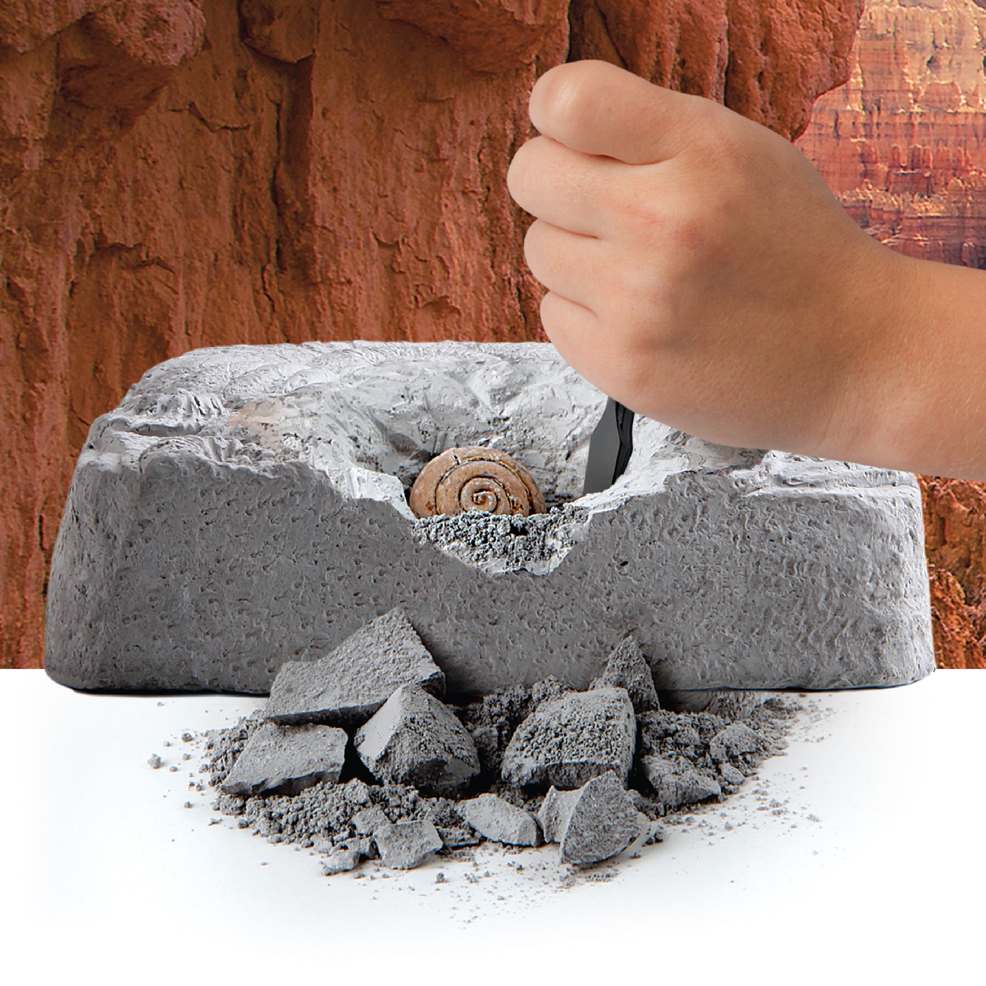 Discovery #MINDBLOWN Toy Fossil Excavation Kit 15pc