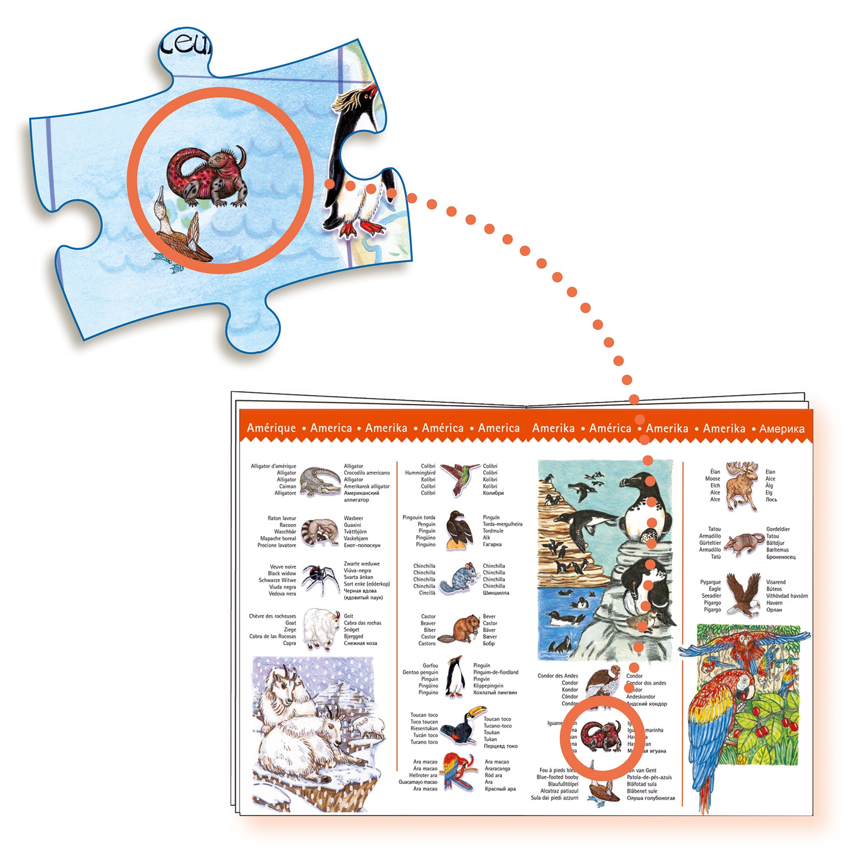 Djeco World’s Animals 100 Pcs Observation Puzzle