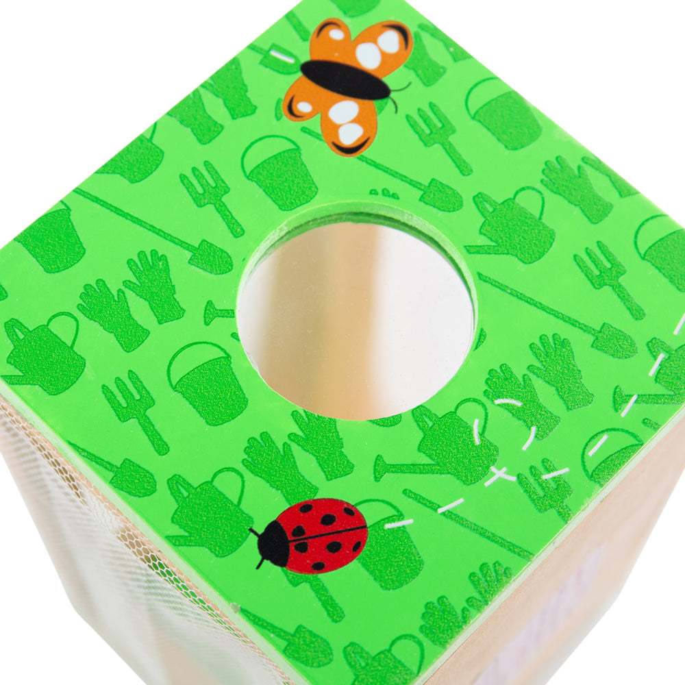 BigJigs Bug Box